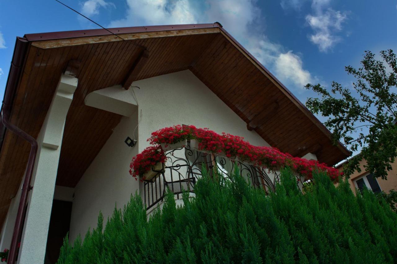 Casa Ade Βίλα Ocna Şugatag Εξωτερικό φωτογραφία