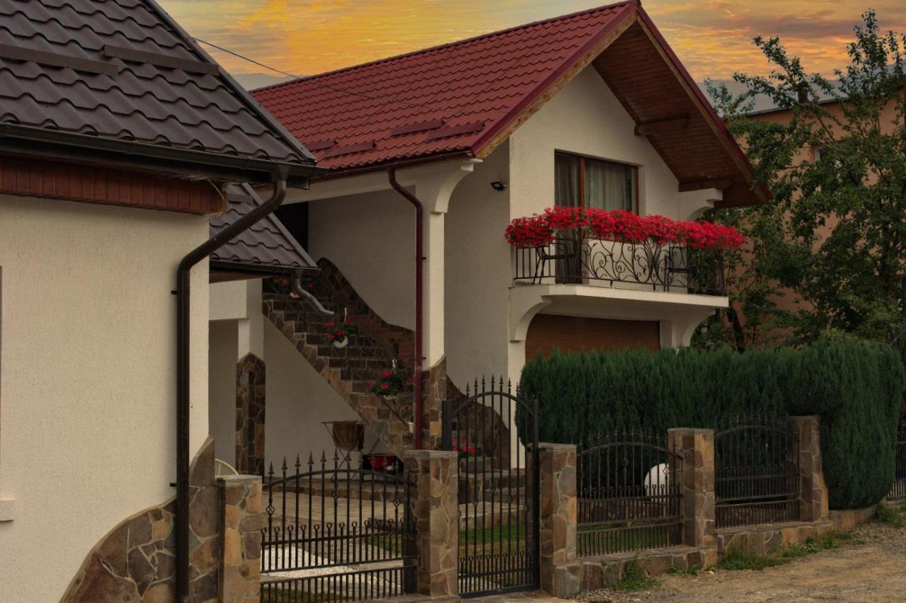 Casa Ade Βίλα Ocna Şugatag Εξωτερικό φωτογραφία