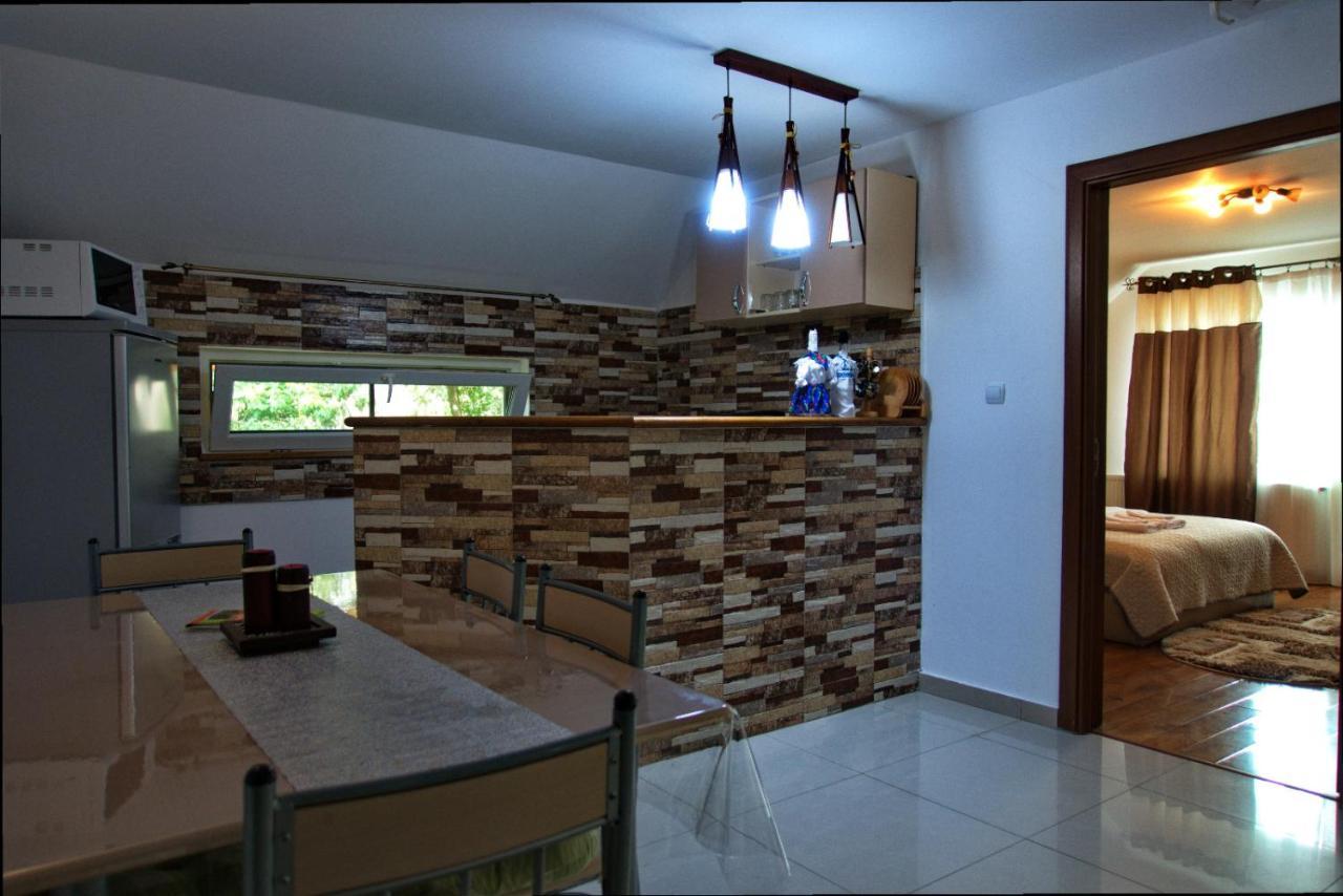 Casa Ade Βίλα Ocna Şugatag Εξωτερικό φωτογραφία